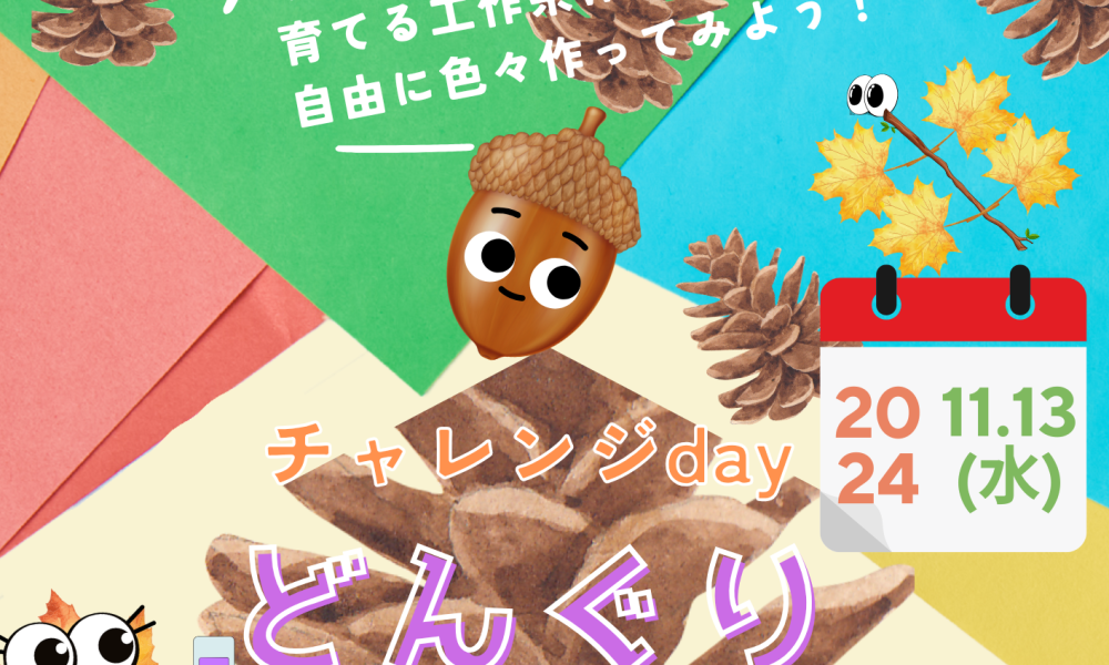 🌰✨ どんぐりパラダイス ✨🌰